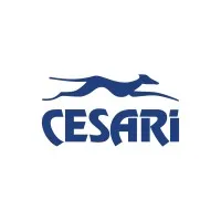 Cesari Multimodal