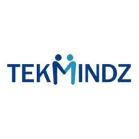 Samin TekMindz India Pvt Limited