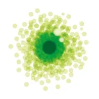 Irismedia Agencia de Medios