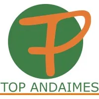 Top Andaimes