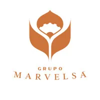 Grupo Marvelsa