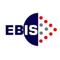 Enterprise Business Info Systems (EBIS)