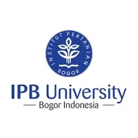 BEM FEM IPB