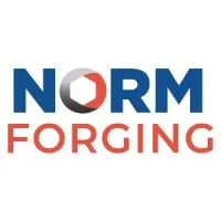 Norm Forging