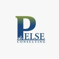 Pelse Consulting