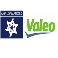 AMALGAMATIONS VALEO CLUTCH PRIVATE LIMITED