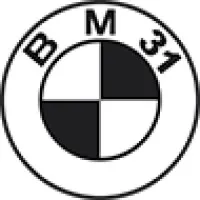 BM31