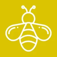 Yellow Jacket Digital Agency