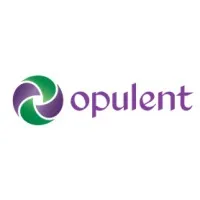 Opulent Infotech Private Limited