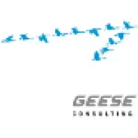 Geese Consulting