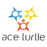 Ace Turtle Services Ltd