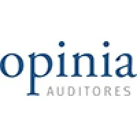 OPINIA AUDITORES