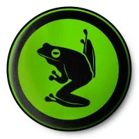 Massima Frog - IT Management Solutions