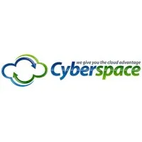 Cyberspace Networking Systems Pvt Ltd