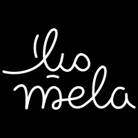 Middle East Leadership Association - MELA