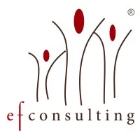efconsulting - consultoria a empresa familiar