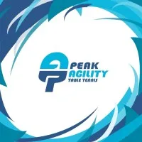 Peak Agility Table Tennis