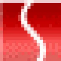 SENAT Consulting Services