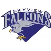 Skyview High School