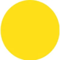 Independent Consultant