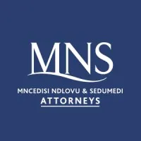 MNS Attorneys