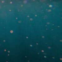 Seachange Psychotherapy