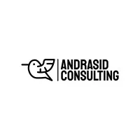 Andrasid Consulting Limited (HK)