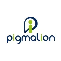 Pigmalion Consultores