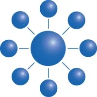 Paras and Associates