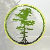 Cypress Solar & Roofing