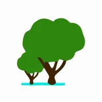 Capital City Development Ltd.