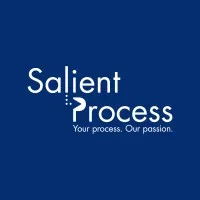 Salient Process