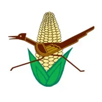 Roadrunner Food Bank of New Mexico