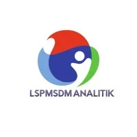 LSP MSDM Analitik