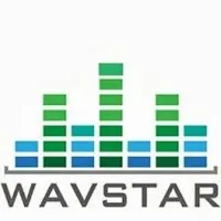WAVSTAR LLC