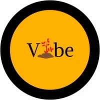 Vibe Indian Pvt Ltd