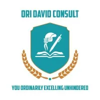 ORI DAVID CONSULT