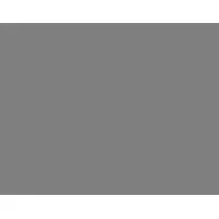 Mondial Assistance Brasil