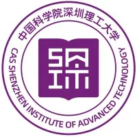 SHENZHEN INSTITUTE OF ADVANCED TECHNOLOGY CHINESE ACADEMY OF SCIENCES
