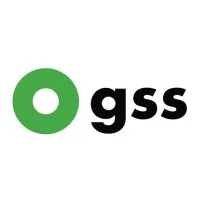 Global Systems & Software