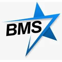 Bluestar Management Systems