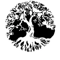 Zeitgeist, IIM Shillong