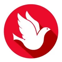 Network Solutions, Inc.