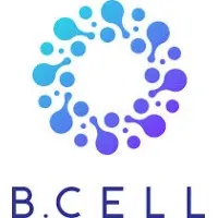 B.Cell