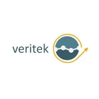 Veritek Global