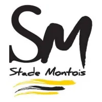 Stade Montois
