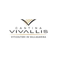 VIVALLIS sca
