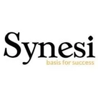 Synesi Consulting