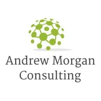 Andrew Morgan Consulting, LLC