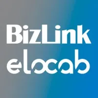 BizLink Tailor-Made Products